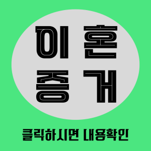 외도조사